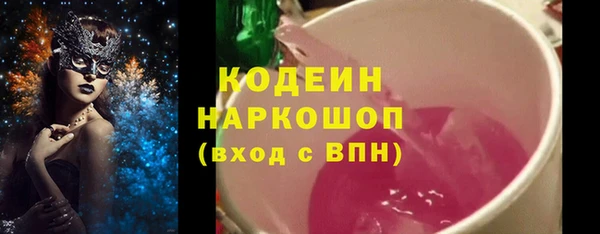 apvp Няндома