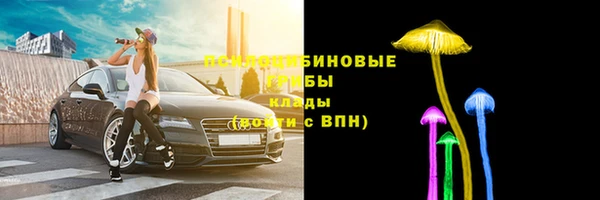 индика Осинники
