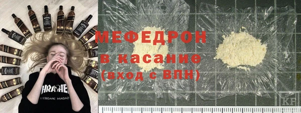 индика Осинники