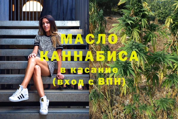 индика Осинники