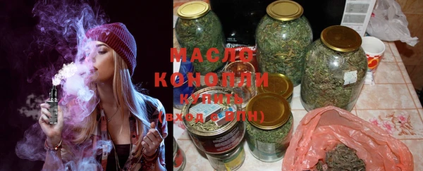 индика Осинники