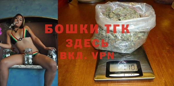 apvp Няндома