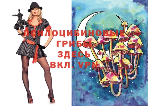 герыч Нягань