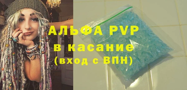 индика Осинники