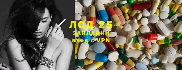 индика Осинники