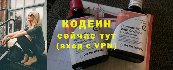 apvp Няндома