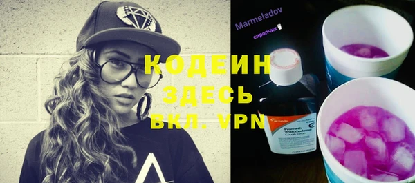 индика Осинники