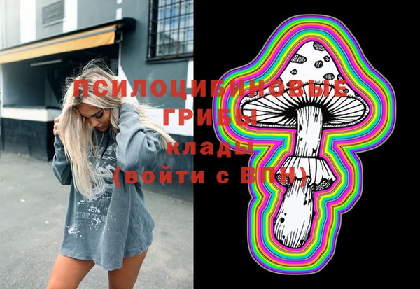 spice Гатчина