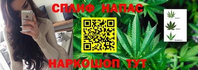каннабис Заволжье