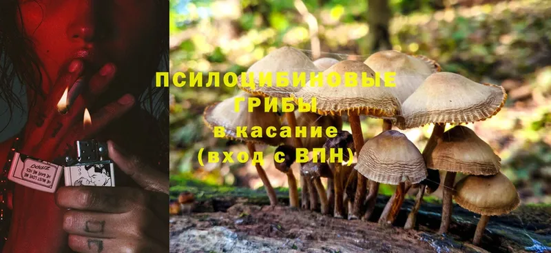 Галлюциногенные грибы MAGIC MUSHROOMS  Конаково 