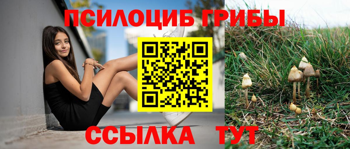 Галлюциногенные грибы MAGIC MUSHROOMS  Вход с VPN  Конаково  Галлюциногенные грибы GOLDEN TEACHER 